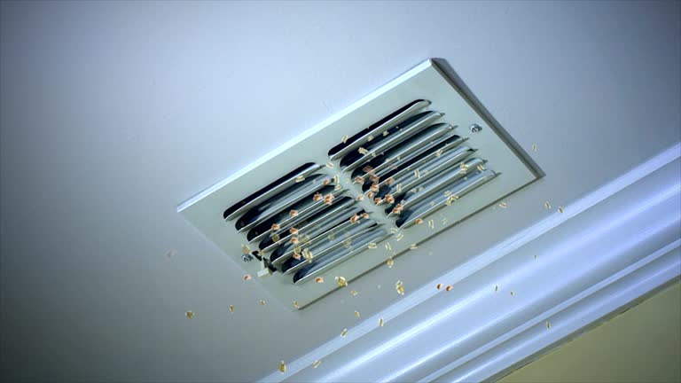 Best Professional Duct Cleaning Services  in Two Rivers, WI